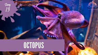 Octopuses quotOcto Groovequot  OCTOPUS  Kids Songs  Marine Animals  Sea Life  Music [upl. by Soma]