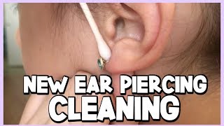 HOW TO CLEAN YOUR NEWLY PIERCED EARS  Ear Piercing Aftercare [upl. by Skipper]