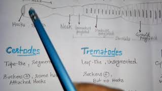 Cestodes trematodes and nematodes। Parasite classification । Definitive and intermediate host [upl. by Urias]