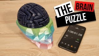 EPIC 3D Printed Brain Puzzle [upl. by Josler]