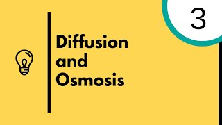 Diffusion and Osmosis  IGCSE Biology [upl. by Stroud]