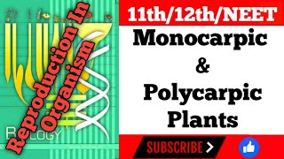 Biology Class 12th Chapter 1 Reproduction In Organisms  Monocarpic And Polycarpic Plants [upl. by Accisej]