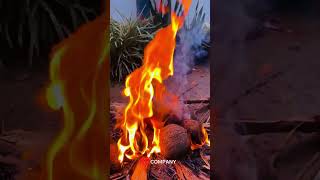 Grilled chicken grilledchicken kdcompany keralafishing keralafood psychoaliyanz dailyvlog ￼ [upl. by Deering]