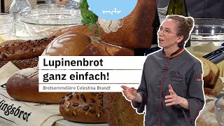 Lupinenbrot ohne Hefe einfach selber backen  Backen mit Brotsommelière Celestina Brandt  MDR um 4 [upl. by Rossi]