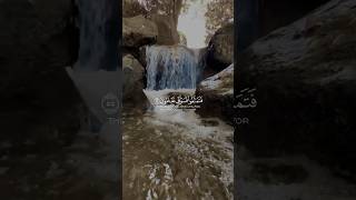 Qari Abdul Rahman Mossad  Quran Ki Tilawat  Beautiful Verses shorts quranrecitationshorts [upl. by Huan]