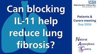 Medications in the pipeline  can blocking IL11 help to reduce lung scarring fibrosis [upl. by Jeconiah]