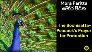 Mora Piritha  මෝර පිරිත morapiritha buddha sermon pirithchanting bodhisattva protection [upl. by Ellerrehs286]