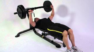 Bodybuilding  Rob Riches Chest amp Triceps Workout on Powertec Workbench Multipress amp Lat Machine [upl. by Candida]