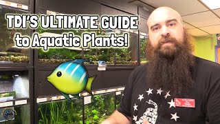 🌿 TDI’s ULTIMATE Guide to Aquatic Plants for Your Freshwater Aquarium 🐠 [upl. by Anrahs]