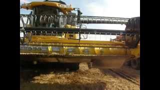 Harvesting with New Holland CX 8080 [upl. by Eliza197]