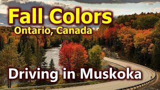 Colors of Canada I Driving to Huntsville Muskoka Ontario [upl. by Erapsag]