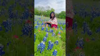 Bluebonnet field Texas state flower 💙🦋 [upl. by Anerb]