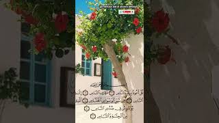 Surah al nas beautiful voice quran reaction viralvideo trending shorts [upl. by Atinaej]