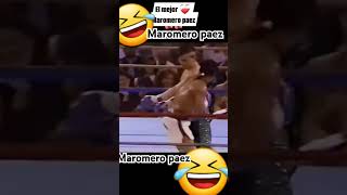 humor boxeomexicano viral [upl. by Arabrab829]