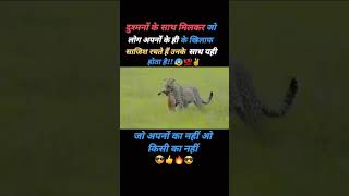 अपनों के साथ विश्वासघात करने का अंजाम यही होता हैimotinalsayarishortsvideosubscribemychannel💯👍🙏😰 [upl. by Arianna]