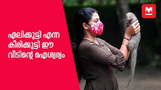 ഏലിക്കുട്ടി എന്ന കീരിക്കുട്ടി ഈ വീടിന്റെ ഐശ്വര്യം [upl. by Arretak]