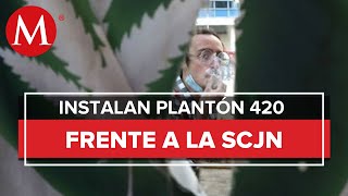 Legalización de mariguana necesaria para erradicar criminalización colectivos [upl. by Cirle]