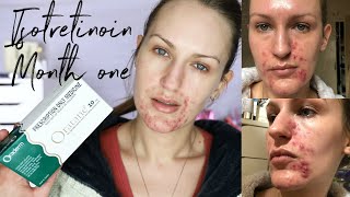 Isotretinoin Diaries  Month 1  Because Acne Sucks [upl. by Bathilda]