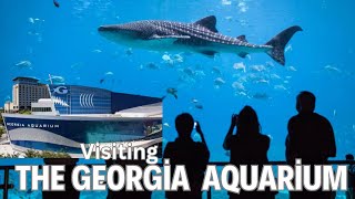 Visita al quotGeorgia Aquariumquot en Atlanta 4K [upl. by Gainor]