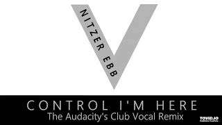 Nitzer Ebb  Control Im Here The Audacity 2023 Remix [upl. by Kiker]