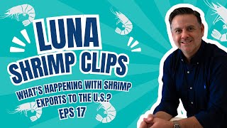 Luna Shrimp Clip 17  Whats Happening with Shrimp Exports to the US [upl. by Penney302]