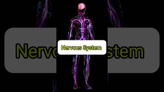 Nervous System shorts shorts video nervous system ytshorts gnm viralvideo [upl. by Yona]