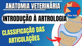 Classificação as articulações fibrosas cartilaginosas e sinoviais  Artrologia veterinária [upl. by Hedveh]