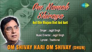 Om Shivay Hari Om Shivay Dhun  Hindi Devotional Song  Jagjit Singh  Superhit Shiv Bhajan [upl. by Zebada]