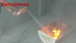 REINOLDMAX FIRE EXTINGUISHER  TORTURE TEST [upl. by Apfelstadt]