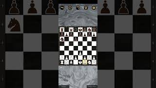 chess ♟️ gaming mouse traps [upl. by Noffets]