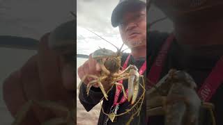 Fishing At Beautiful Antero Reservoir In Hartsel Colorado Amazing Place To Fish fishing shorts [upl. by Eugen313]