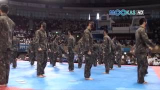 Taekwondo display by the Korean army at the 2013 Hammadang [upl. by Applegate]