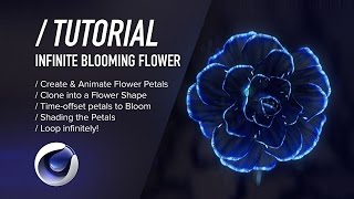 C4D TUTORIAL  Infinite Blooming Flower Cinema 4D [upl. by Nymrak]