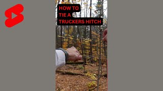 HOW TO TIE A TRUCKERS HITCH  Best knot for backpacking ridgelines and clotheslines shorts [upl. by Popelka]