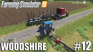 Forestry  Woodshire Timelapse 12  Farming Simulator 19 Timelapse [upl. by Batruk698]