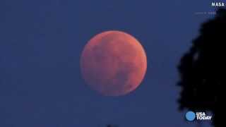 Heres why the blood moon is so special [upl. by Annalise865]