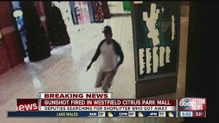 NEW Surveillance video shows Tampa mall shooter [upl. by Prober]