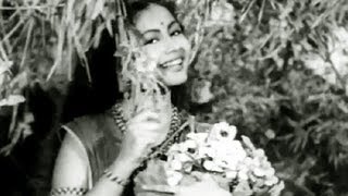 Gayi Birha Ki Raat Aaya Hai Naya Prabhat  Meena Kumari Laxmi Narayan Song [upl. by Eirollam]