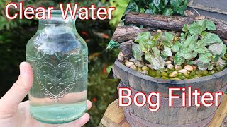 Build a Bog Filter for Your Pond The Secret to Clear Water YearRound [upl. by Llennahs977]