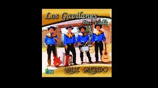 Los Gavilanes Del Valle  Disco Completo quotValle Queridoquot [upl. by Jaf]