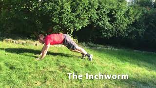 How to do the Inchworm Exercise [upl. by Elleiad966]