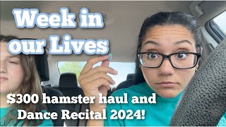 week in our lives  300 hamster haul and dance recital 2024 [upl. by Naerad247]