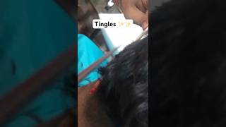 Tingles ✨  hair cutting sound shorts tingles [upl. by Jaquenetta]