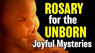 Rosary for the Unborn Child  Joyful Mysteries  Rosary for Life [upl. by Euqinimod]