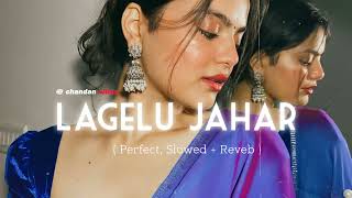 Lagelu Jahar   perfect slowed amp reverb  Bhojpuri songs [upl. by Okuy]