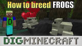 How to breed frogs in Minecraft [upl. by Nac]