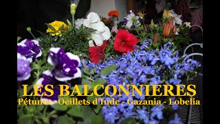 LES BALCONNIERES  Les jardinières de fleurs Begonias Oeillets dInde Lobelias Pétunias etc [upl. by Soule]