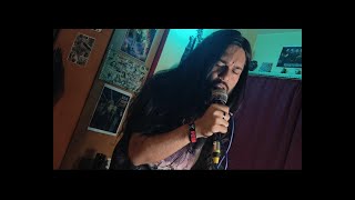 Nirvana  Heart Shaped Box Vocal Cover By Savio Gomes [upl. by Lugar814]