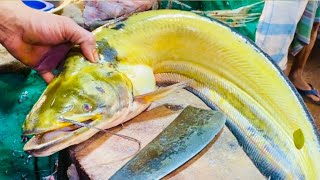 Amazing Wallago Attu Boal Fish Cutting Live Techniques  Expert Quick Tips amp Tricks [upl. by Noyar]