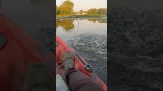 Pike Attack shorts fishing agressive pike angling kayakfishing exciting viral fish blowup [upl. by Calle]